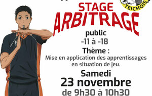 STAGE D'ARBITRAGE