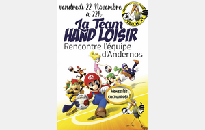 Match des dingos du handball !