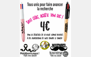 OCTOBRE ROSE et MOVEMBER